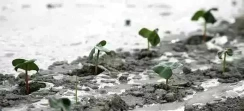 微信圖片_20220309215832.jpg 微信圖片_20220309215832.jpg